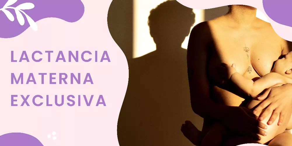 Que es la lactancia materna exclusiva