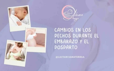 #1 Cambios en los Pechos durante el Embarazo y el Posparto: Todo lo que Debes Saber