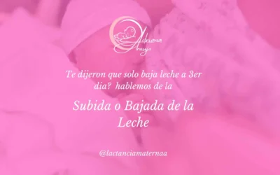 #1 Subida o Bajada de la Leche: Aprendamos los Cambios en la Lactancia Materna
