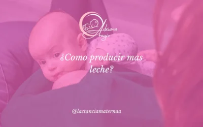 #1 ¿Cómo producir más leche?